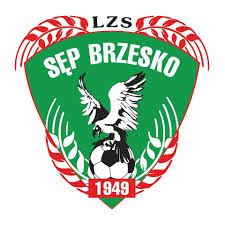 SĘP Brzesko  