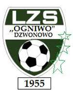 OGNIWO Dzwonowo  