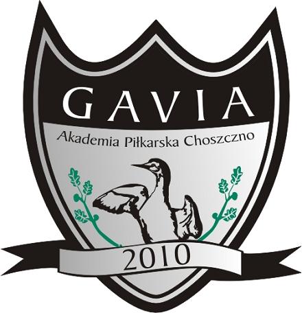 Gavia Choszczno